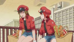   ! / Cells at Work!