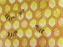   [-1] / Maya the Bee