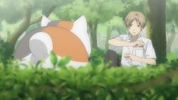    ( ) / Natsume's Book of Friends