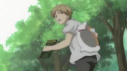    ( ) / Natsume's Book of Friends