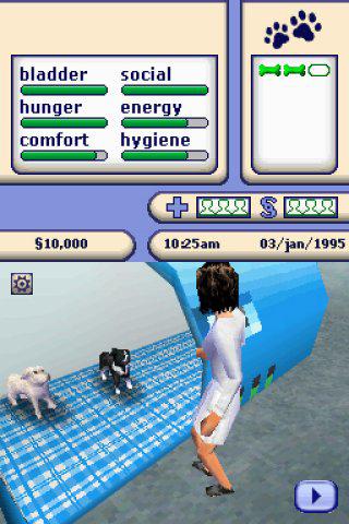 The Sims 2 Nds Download Torrent